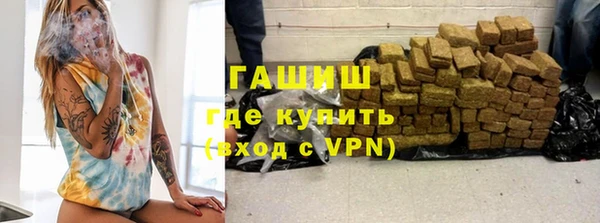 индика Мегион