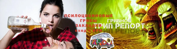 прущие грибы Медногорск