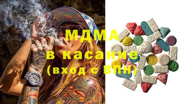 индика Мегион
