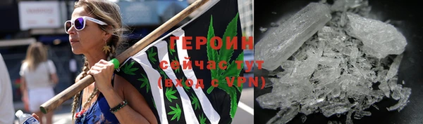 прущие грибы Медногорск