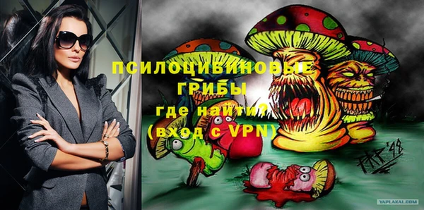 индика Мегион