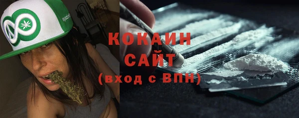 прущие грибы Медногорск