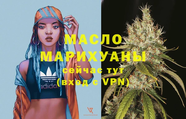 индика Мегион