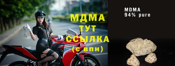 прущие грибы Медногорск