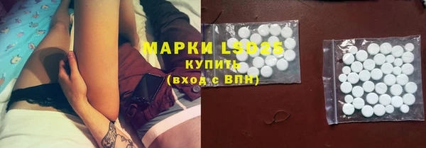 прущие грибы Медногорск