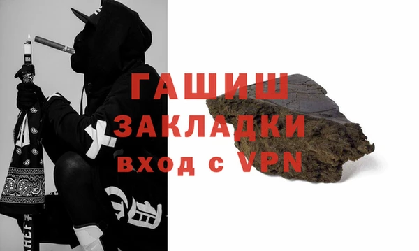 индика Мегион