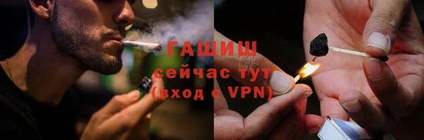 индика Мегион