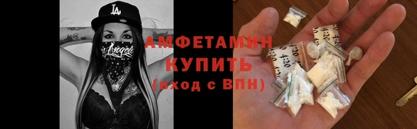 индика Мегион