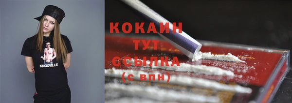 индика Мегион