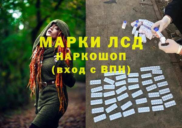 индика Мегион