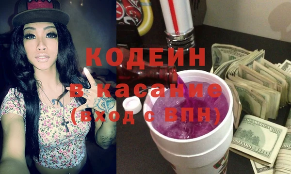 индика Мегион