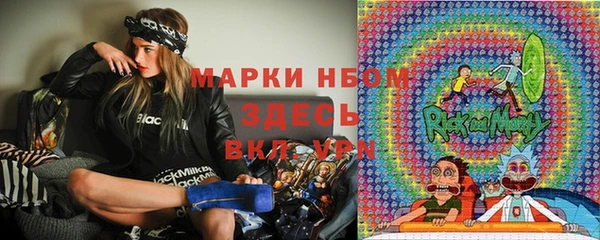 прущие грибы Медногорск
