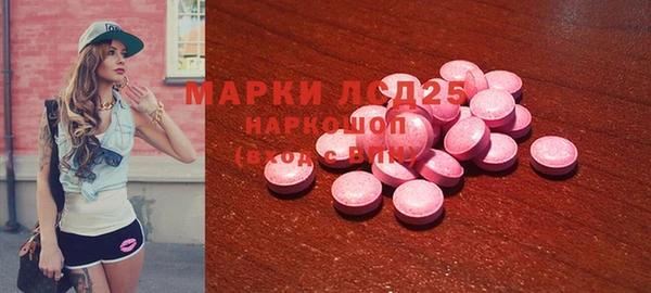 индика Мегион
