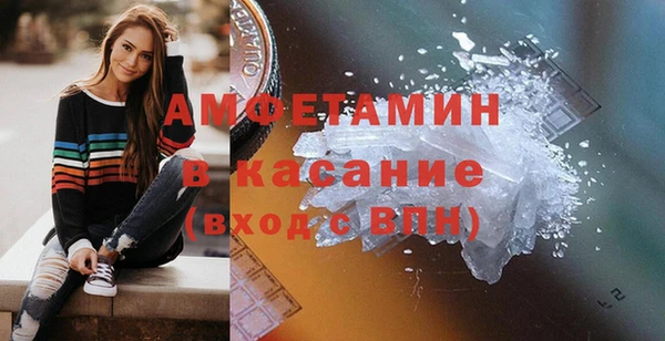 прущие грибы Медногорск