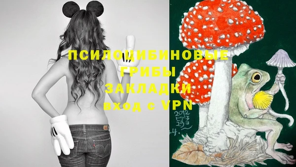 индика Мегион
