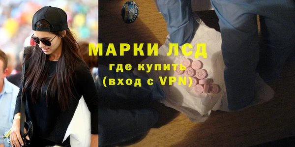 прущие грибы Медногорск