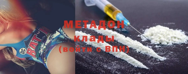 индика Мегион