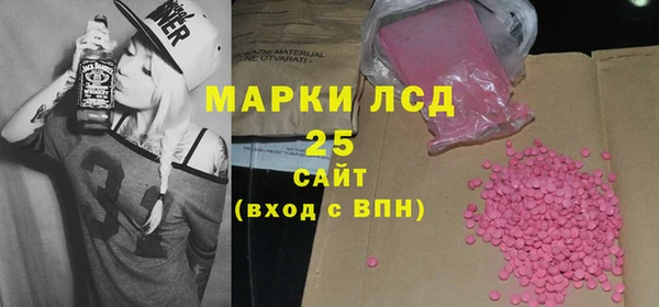 прущие грибы Медногорск