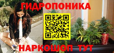 jwh Нальчик
