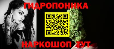 jwh Нальчик