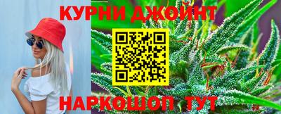 jwh Нальчик