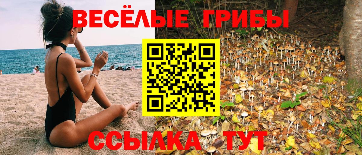 Галлюциногенные грибы ЛСД  Псилоцибиновые грибы ЛСД  Электрогорск 