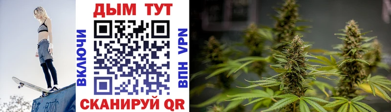 где найти Электрогорск Конопля LSD WEED